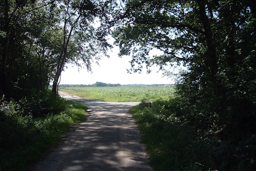 Foto Drents landschap