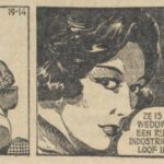 Paul Vlaanderen strip Het tegenoffensief 014